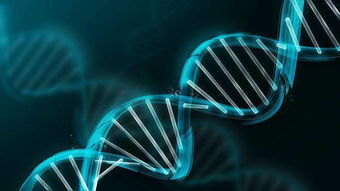 生物医药行业需 定军心 ,用轻流管理订单实现 国际范