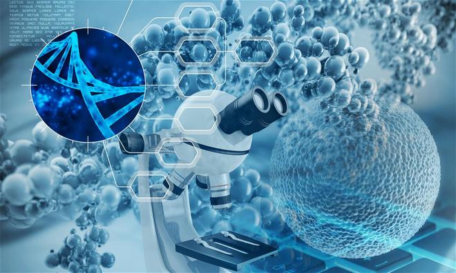 慧观生物完成近千万人民币种子轮融资,投资方为德迅投资