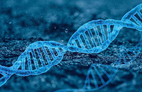 摩珈生物宣布完成b轮融资 淡马锡领投