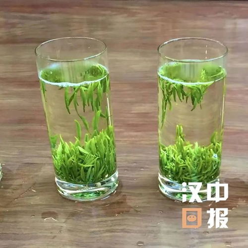 厉害了 汉中这个产业西北第一