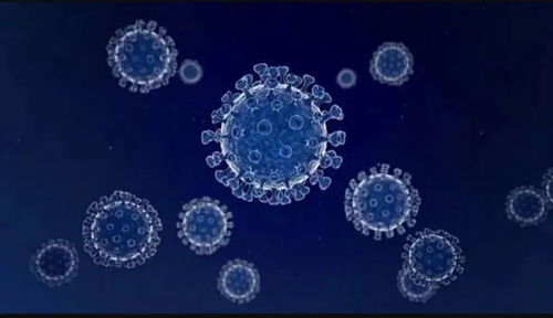 任泽平对话尹烨 生命科技、生物技术与健康长寿的未来前景