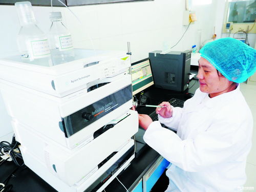 德州瑞康生物科技 深耕研发，高端产品畅销海外