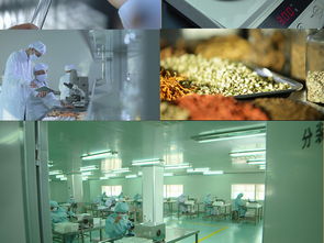 生物科技前沿探索 从微观机理到宏观应用的科研高清图景